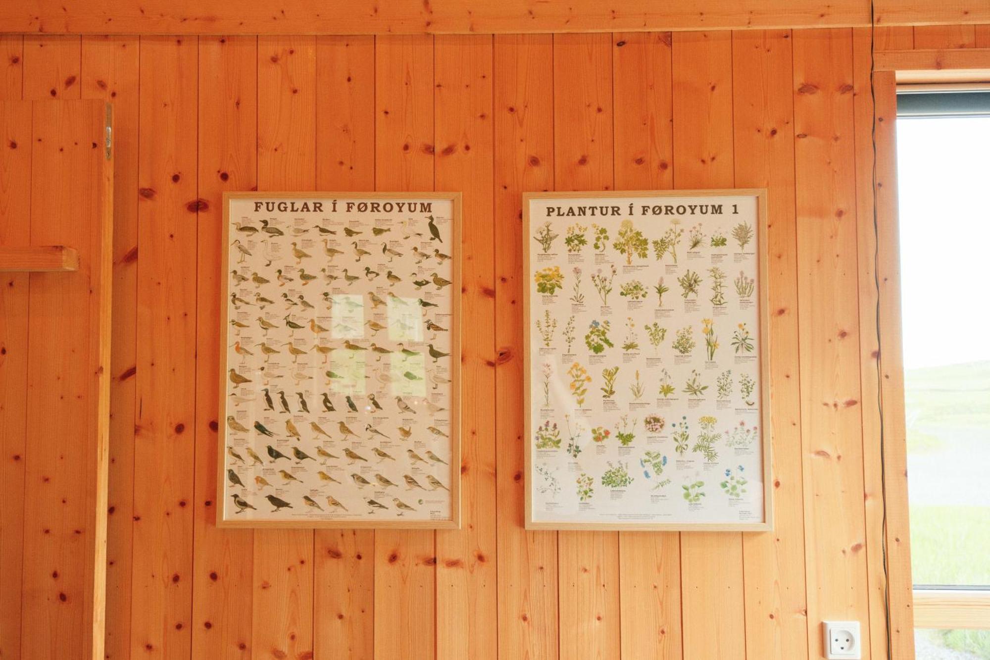 Mulafossur Cottages By Famous Waterfall In Gasadalur 外观 照片